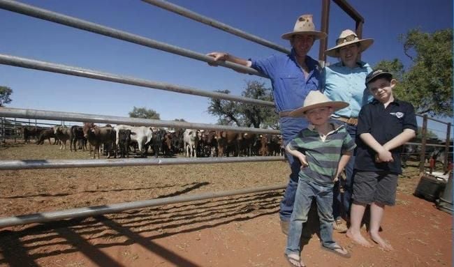 Absurd Kimberley red tape is strangling station owners Absurd Kimberley red tape is strangling station owners